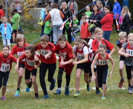 2015 11 07 Westerwald Cross Mengerskirchen 024Start der MWK U12